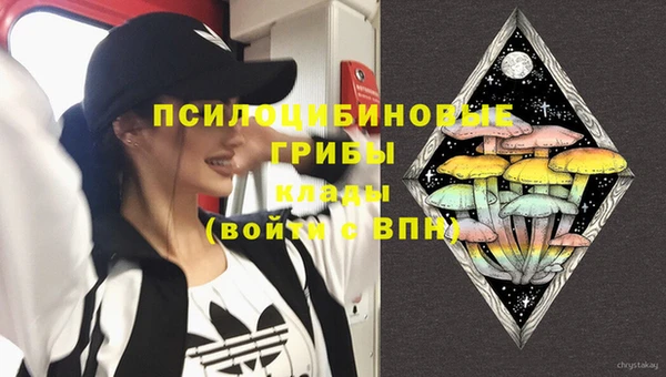 mix Надым