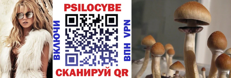 маркетплейс наркотические препараты  Калач  Псилоцибиновые грибы Psilocybe  где купить наркотик 