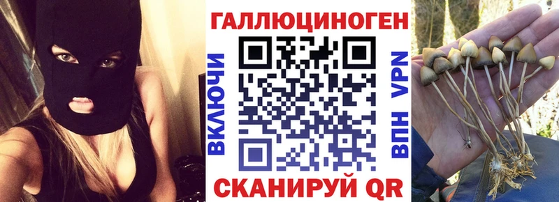 Псилоцибиновые грибы MAGIC MUSHROOMS Калач
